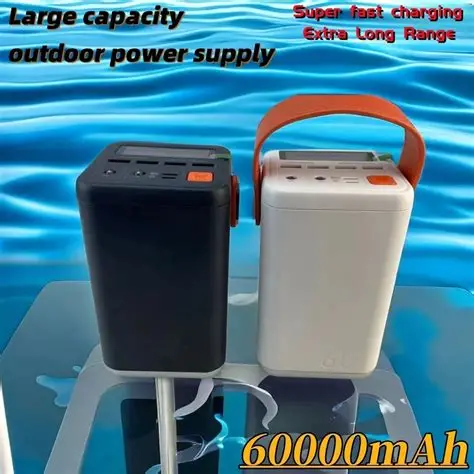 Dreamwold Powerbank 60000mah